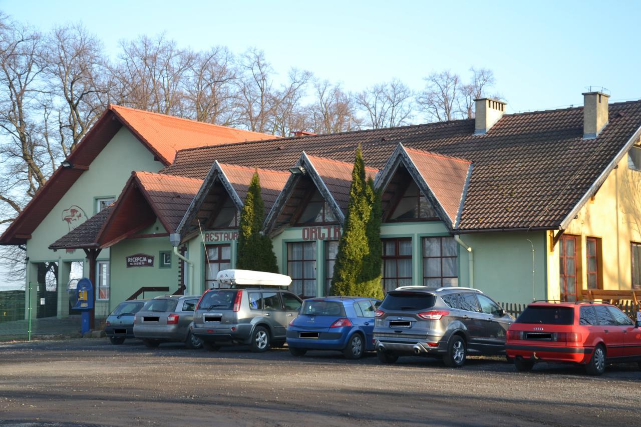 Hotelik Orlik Legnickie Pole 외부 사진